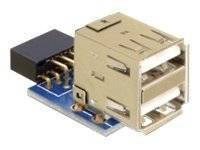Delock - USB-Adapter (W) bis USB (W)