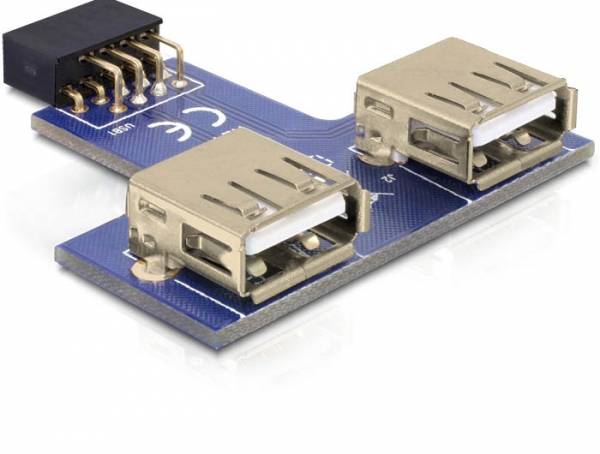 Delock USB Pinheader - USB-Adapter (W) zu USB (W)