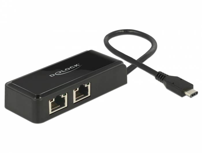 DeLock Adapter USB-C 3.1 Gen 1 > 2 x Gigabit LAN 10/100/1000 Mb/s