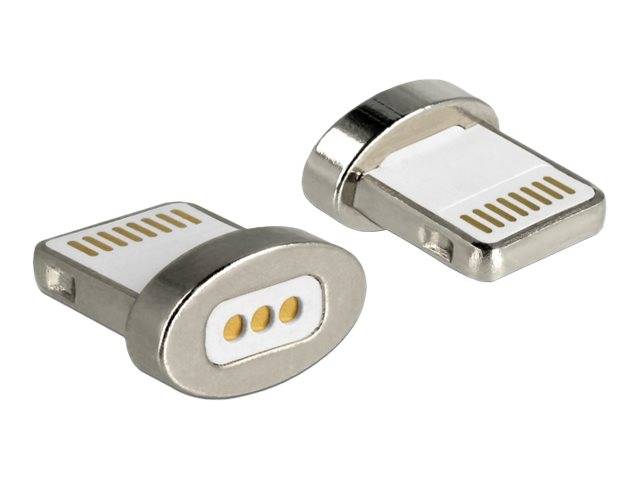 Delock - Lightning Adapter - Anschluss (magnetisch) bis Lightning männlich - für Apple iPad/iPhone/iPod (Lightning)