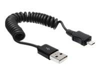 Delock - USB-Kabel - USB (M) bis Micro-USB Typ B (M)