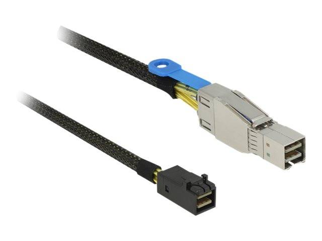 DeLOCK - SAS-Kabel intern zu extern - SAS 12Gbit/s - Mini SAS HD (SFF-8644)