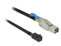 DeLOCK - SAS-Kabel intern zu extern - SAS 12Gbit/s - Mini SAS HD (SFF-8644)
