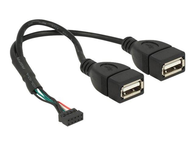 DeLOCK - USB-Kabel intern auf extern - 10-poliger USB-Header (W)