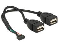 DeLOCK - USB-Kabel intern auf extern - 10-poliger USB-Header (W)