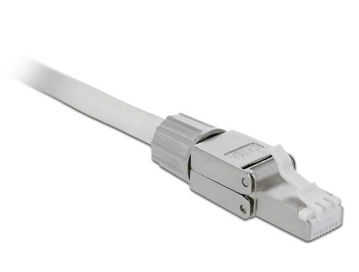 Delock - Netzwerkanschluss - RJ-45 (M) - STP