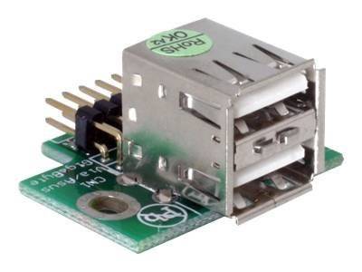 DeLOCK - USB-Adapter - 10-poliger USB-Header (M)