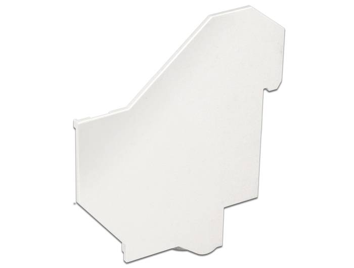 DeLOCK - Keystone-Adapterabdeckung für DIN-Schiene