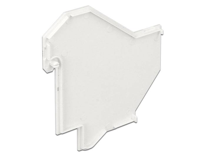 DeLOCK - Keystone-Adapterabdeckung für DIN-Schiene
