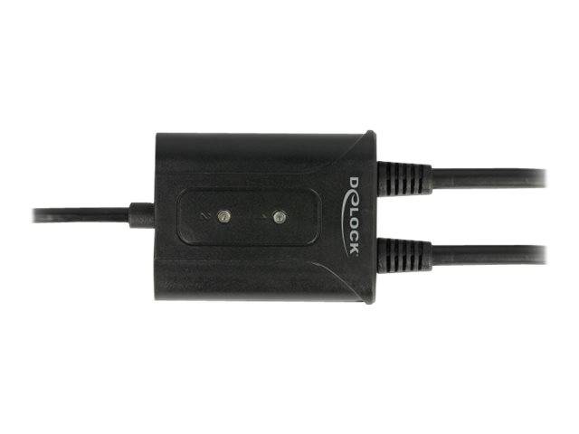 DeLock USB 2.0 to 2 x serial RS-232 - Serieller Adapter