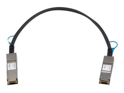 Schwarzes Kabel mit rechteckigen Metallsteckverbindern an beiden Enden, auf weißem Hintergrund dargestellt.