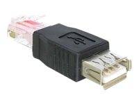 Delock - USB-Adapter - RJ-45 (M) zu USB (W)