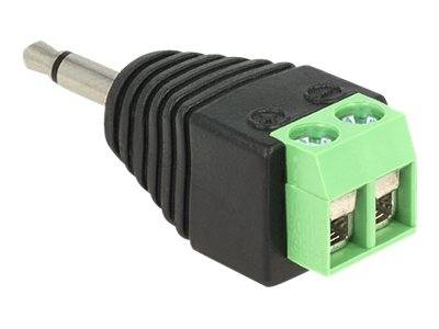 Delock - Audio-Adapter - 2-polige Klemmleiste