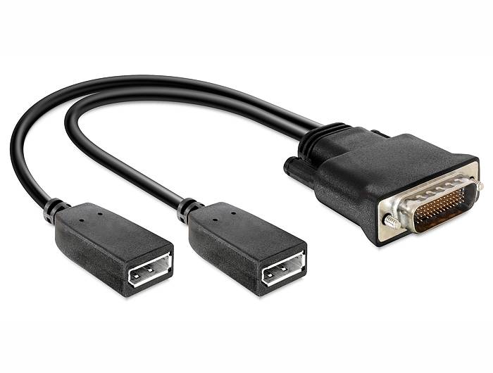 DeLOCK - Display-Adapter - TDP-Anschluss, 20-polig (W)