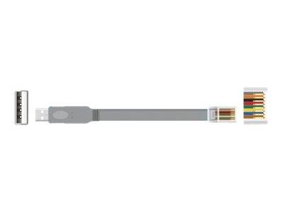 Delock - Kabel seriell - USB (M) zu RJ-45 (M)