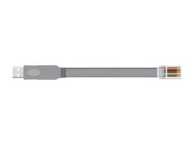 DeLOCK - Kabel seriell - USB (M) bis RJ-45 (M)