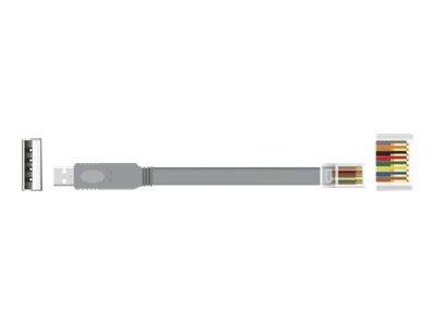 DeLOCK - Kabel seriell - USB (M) bis RJ-45 (M)