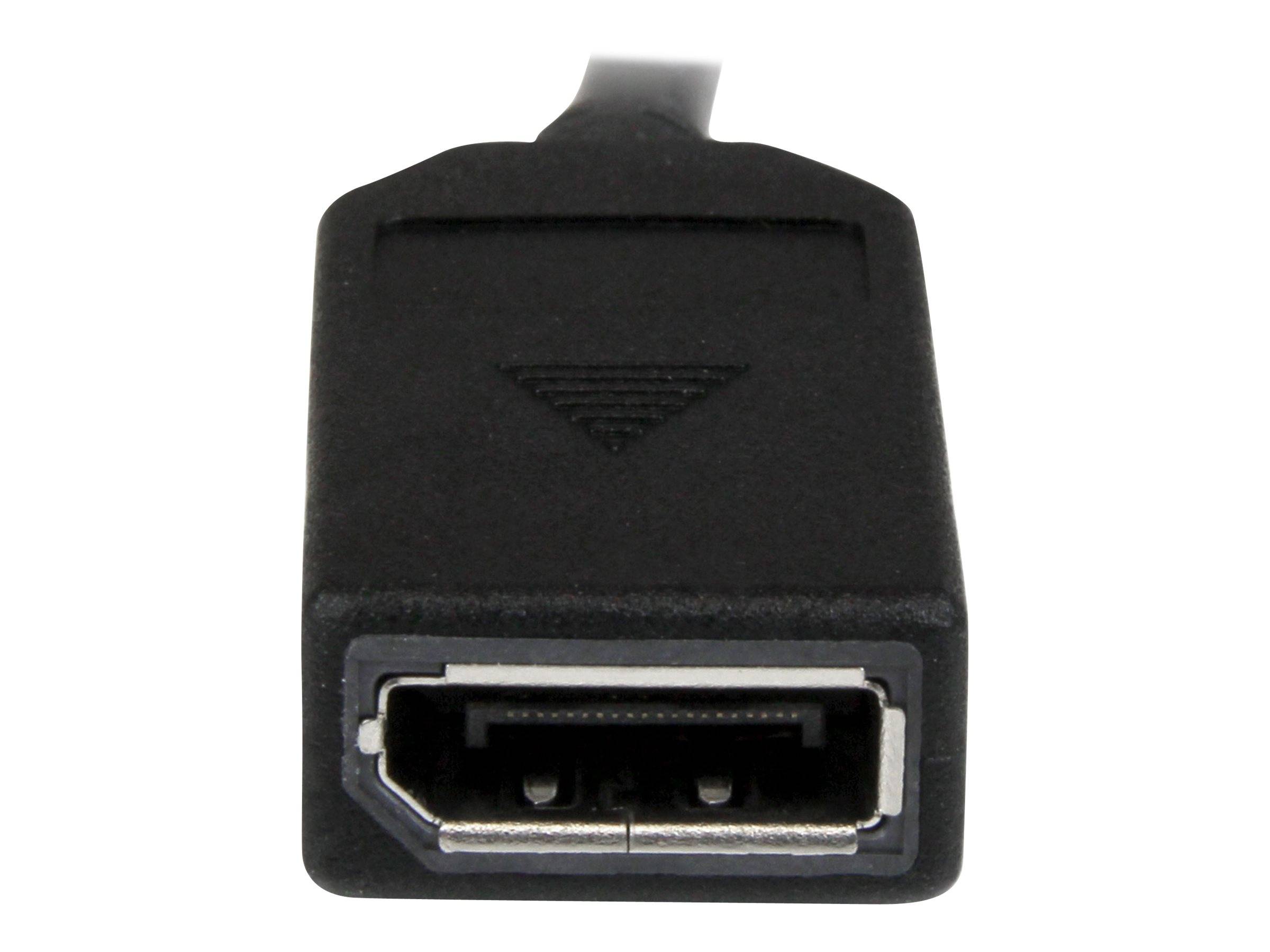StarTech.com DMS-59 to DisplayPort - 8in - DMS 59 to 2x DP - Y Cable - DMS-59 Adapter - DisplayPort Splitter Cable - LFH