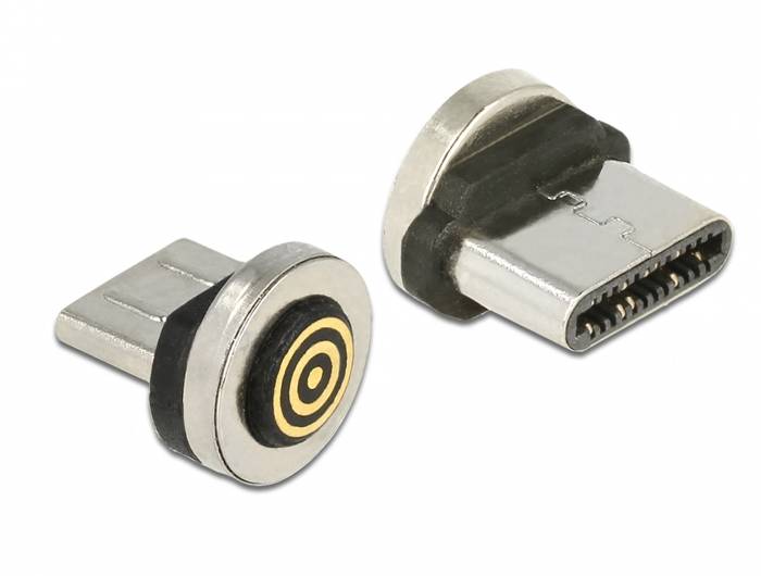 DeLOCK Magnetic - USB-Anschluss - USB-C (M)