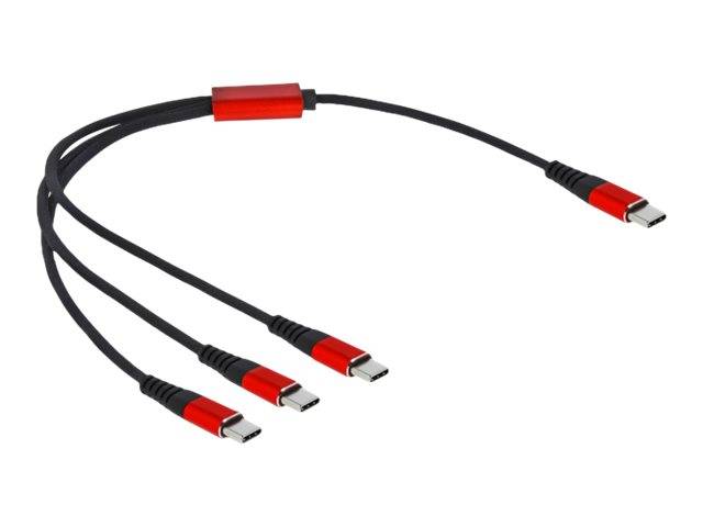 Delock - USB-Kabel - USB-C (M) bis USB-C (M)