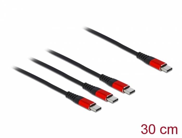 Delock - USB-Kabel - USB-C (M) bis USB-C (M)