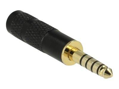 Delock - Audio-Adapter - Symmetrisches Stereo