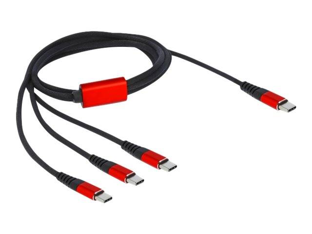Delock - USB-Kabel - 24 pin USB-C (M) zu 24 pin USB-C (M)