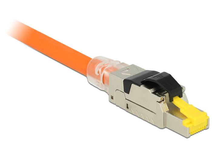 DeLOCK - Netzwerkanschluss - RJ-45 (M) - 6.22 cm