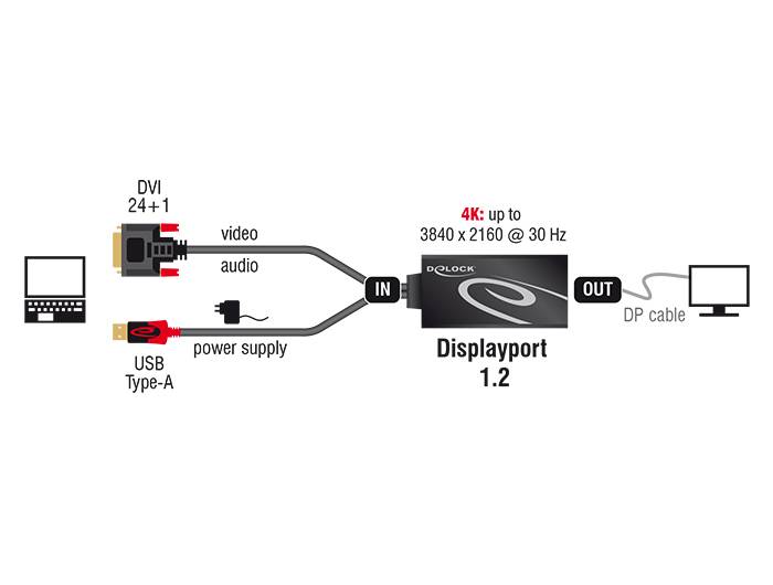 Delock - Videokonverter - DVI - DisplayPort - Schwarz