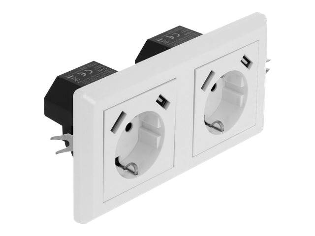 DeLOCK - Steckdose - 2P+E - Typ F, USB - 2-fach