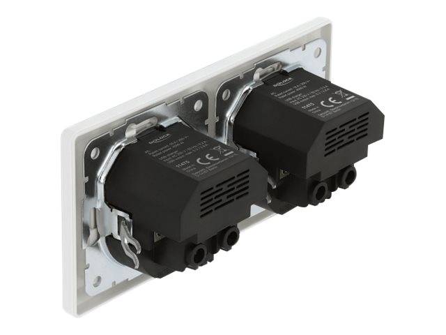 DeLOCK - Steckdose - 2P+E - Typ F, USB - 2-fach