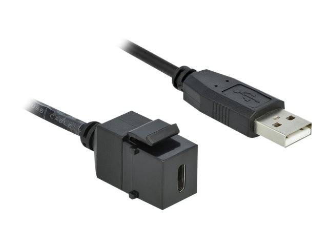DeLOCK Keystone module - Modulare Eingabe - USB Typ C