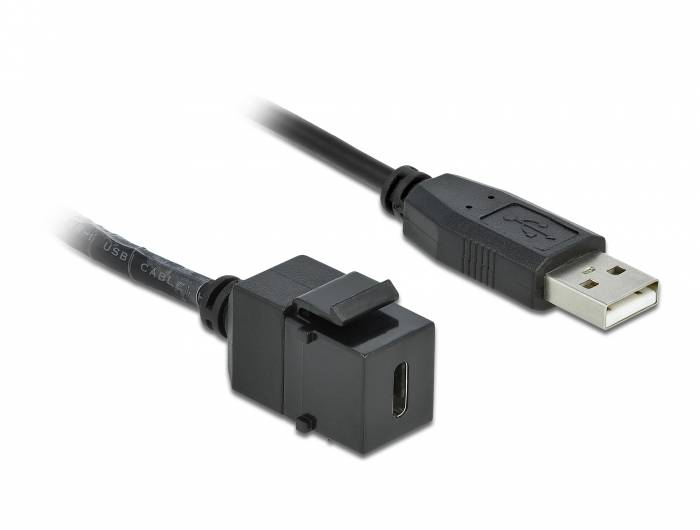 DeLOCK Keystone module - Modulare Eingabe - USB Typ C