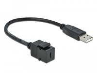 DeLOCK Keystone module - Modulare Eingabe - USB Typ C