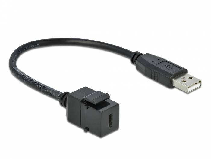 DeLOCK Keystone module - Modulare Eingabe - USB Typ C