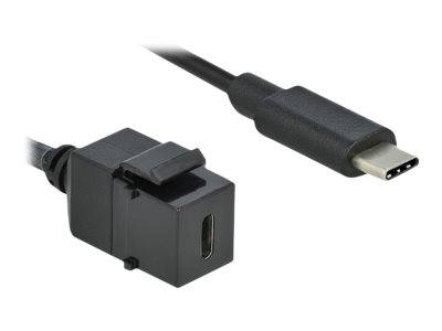 DeLOCK Keystone module - Modulare Eingabe - USB Typ C