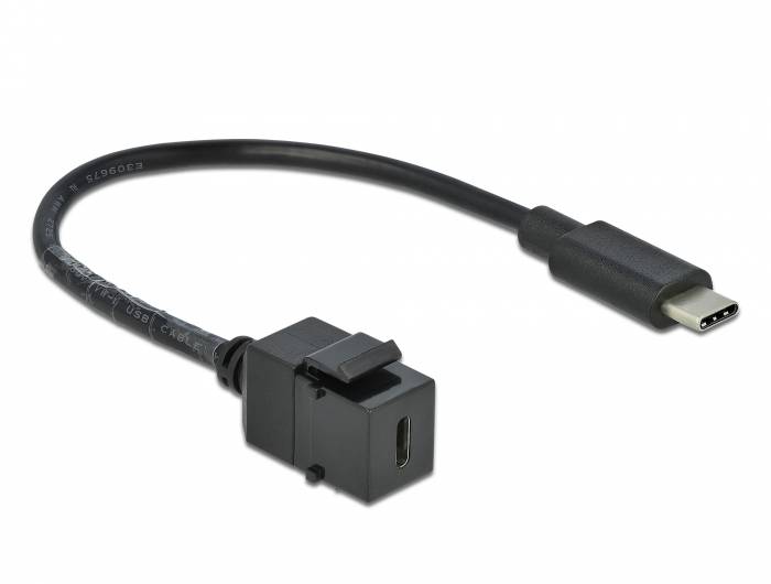 DeLOCK Keystone module - Modulare Eingabe - USB Typ C