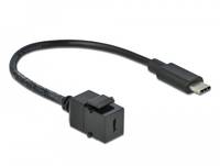 DeLOCK Keystone module - Modulare Eingabe - USB Typ C