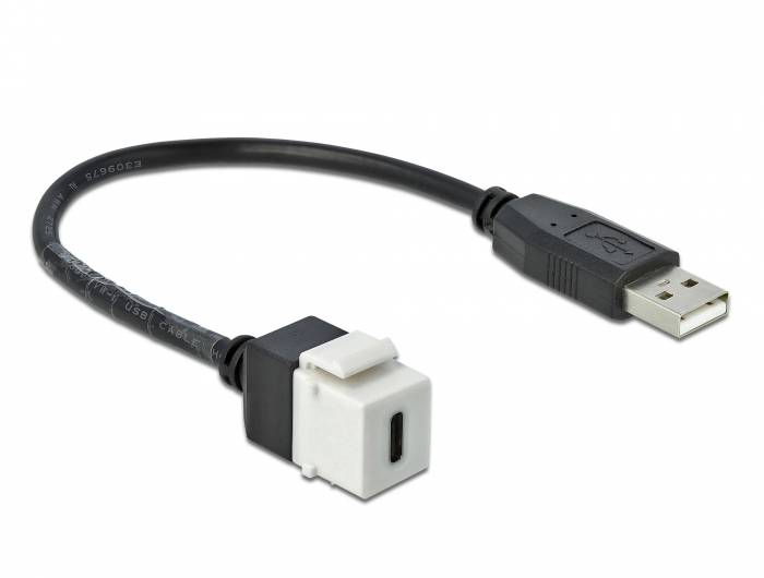 DeLOCK Keystone module - Modulare Eingabe - USB Typ C