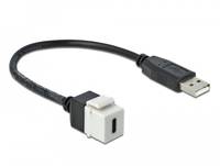 DeLOCK Keystone module - Modulare Eingabe - USB Typ C