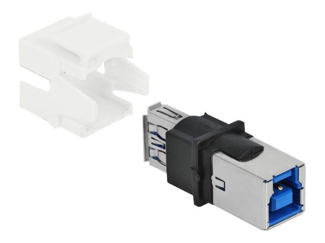 DeLOCK Keystone module - USB-Adapter - USB Typ A (W)