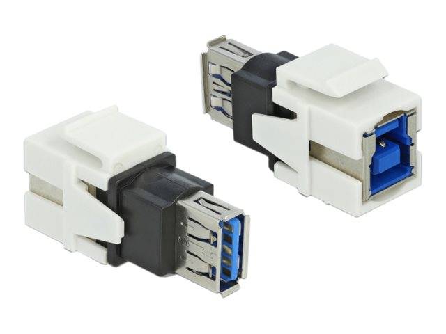 DeLOCK Keystone module - USB-Adapter - USB Typ A (W)