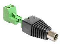 DeLOCK Adapter DC 2.1 x 5.5 mm male > Terminal Block - Netzteil - 2-polige Klemmleiste (W)