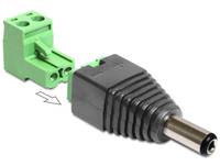 Delock Adapter DC 2.1 x 5.5 mm male > Terminal Block - Netzteil - 2-polige Klemmleiste (M)