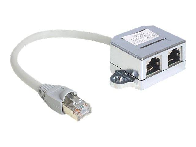 DeLOCK RJ45 Port Doubler - Ethernet 100Base-TX-Splitter - RJ-45 (M)