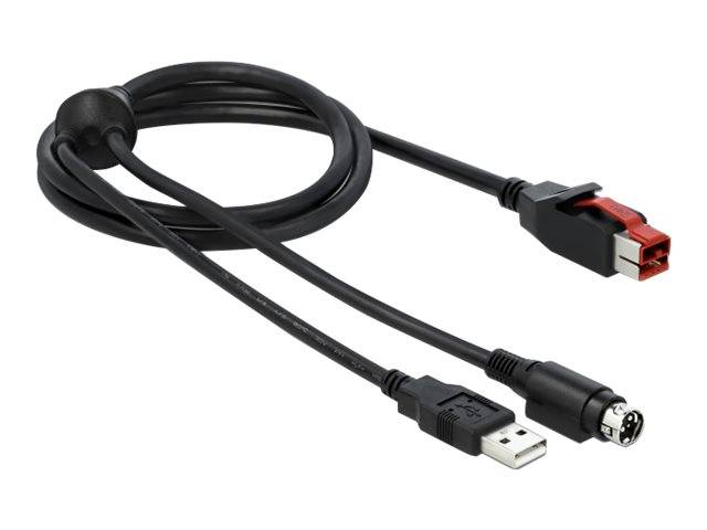 DeLOCK - Powered USB-Kabel - USB PlusPower (24 V)