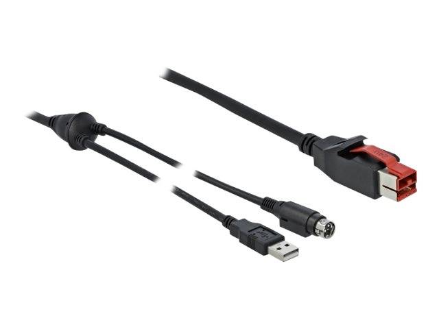 DeLOCK - Powered USB-Kabel - USB PlusPower (24 V)