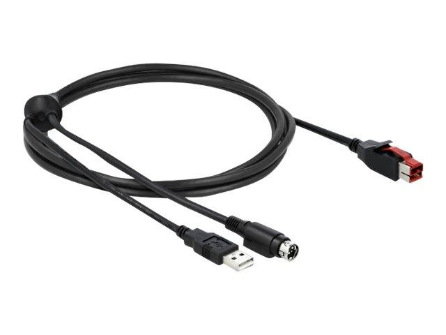 DeLOCK - Powered USB-Kabel - USB PlusPower (24 V)