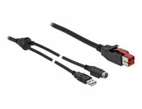 DeLOCK - Powered USB-Kabel - USB PlusPower (24 V)