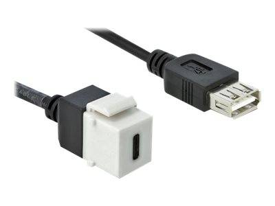 DeLOCK Keystone module - Modulare Eingabe - USB Typ C
